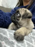 processed/b664d27b-666c-44e5-aadd-afc6919c1662/listing/71d99767-1f37-448c-9ce6-47e8216e1434/b9c6e658-4cf4-45b3-a353-b369202463c2