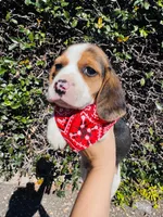 processed/b664d27b-666c-44e5-aadd-afc6919c1662/listing/d9766023-d0a8-4d48-9497-60c3bcde42ae/1ef25f42-fb14-4ba9-a719-c9886c89482e