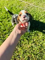 processed/b664d27b-666c-44e5-aadd-afc6919c1662/listing/d9766023-d0a8-4d48-9497-60c3bcde42ae/fffb3f81-4030-4ca3-8295-0018f1b61bed