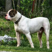 processed/b6667e79-b5f8-426d-9155-da8a18a60006/facility/11c4676a-10b7-4ae8-bf44-e722801d52b1