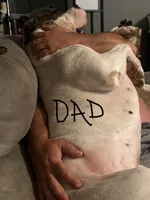 processed/b6667e79-b5f8-426d-9155-da8a18a60006/facility/21e8761a-7899-40bf-995b-c852e595a554