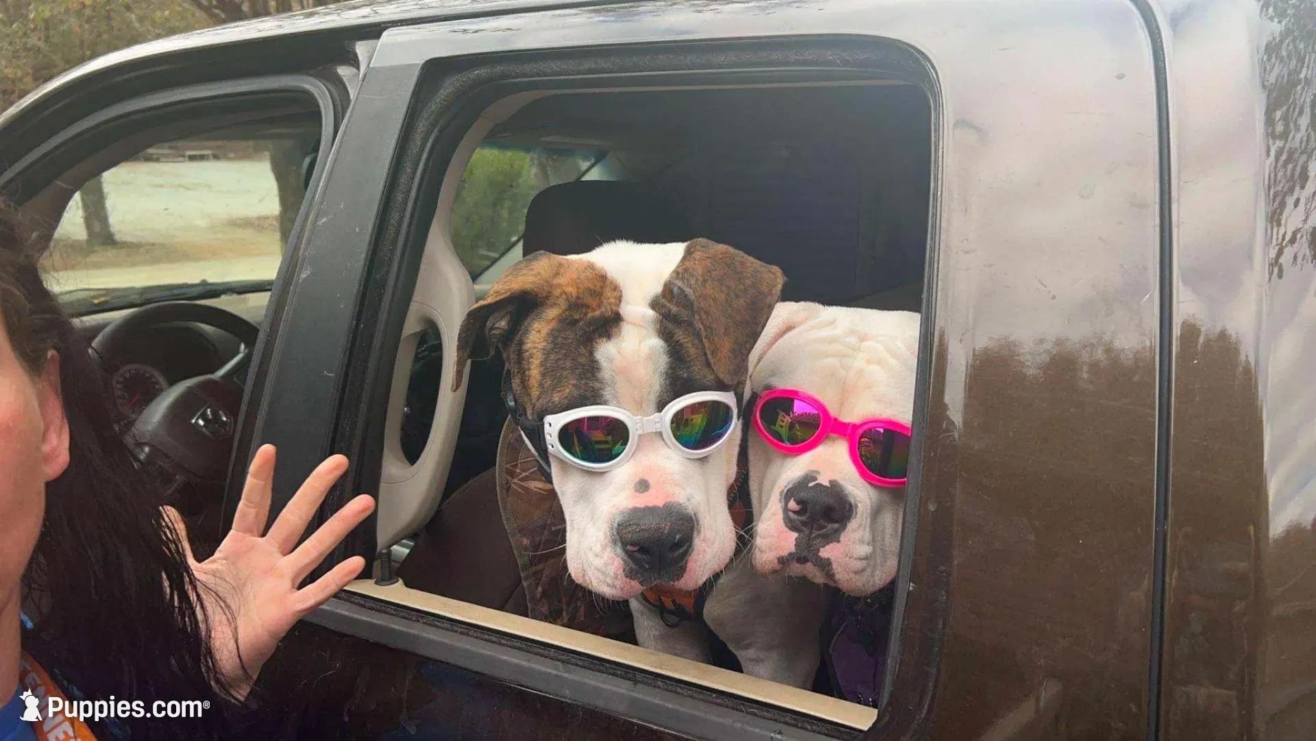 processed/b6667e79-b5f8-426d-9155-da8a18a60006/facility/262a2225-2c6a-485d-b22f-13f30ab56710