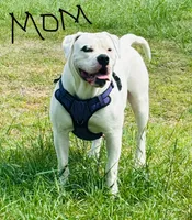 processed/b6667e79-b5f8-426d-9155-da8a18a60006/facility/5316ce3e-7cf9-4b8b-a526-91b900636d49