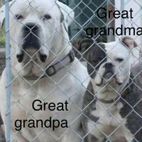 processed/b6667e79-b5f8-426d-9155-da8a18a60006/facility/781ce208-6d94-4266-88de-9dfbfe5064b0