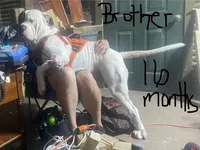 processed/b6667e79-b5f8-426d-9155-da8a18a60006/facility/a73e4fea-657c-437b-b877-5f13de9eb0e9