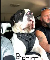 processed/b6667e79-b5f8-426d-9155-da8a18a60006/facility/b60f2116-e415-4000-805a-7b20e0a1f944