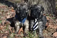 processed/b66a71cc-f8fa-4857-b889-a5fa11336996/facility/03004a31-8344-4b9c-a340-c3e91f60a3e8