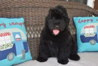 processed/b66a71cc-f8fa-4857-b889-a5fa11336996/facility/23ddc349-9906-47e4-b679-93d9b471c2f4