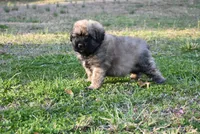 processed/b66a71cc-f8fa-4857-b889-a5fa11336996/facility/2fc47acc-0ec8-442d-a40b-b4e5cfc0a1f6