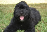 processed/b66a71cc-f8fa-4857-b889-a5fa11336996/facility/34197bae-e5cd-407d-9de3-aa43b86dd1ff