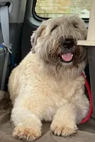 processed/b66a71cc-f8fa-4857-b889-a5fa11336996/facility/38b334e2-b4e4-499e-aa27-89e07062ee3b