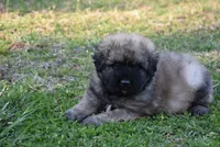 processed/b66a71cc-f8fa-4857-b889-a5fa11336996/facility/4e9274ee-dbe9-4497-ae82-e99226e7ad49