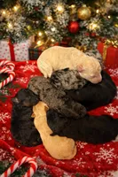 processed/b66f204a-0081-45ff-b97c-17efcbc9880b/listing/4c7bc5fc-b168-40b1-83ca-63e53b3e7bb0/de176af1-32a1-42e4-a09c-fe30bb5bd489