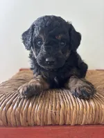 processed/b66f204a-0081-45ff-b97c-17efcbc9880b/listing/4c7bc5fc-b168-40b1-83ca-63e53b3e7bb0/fb65b4fd-ff2b-4bdc-a045-9fc386d3a3f6