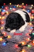 processed/b66f204a-0081-45ff-b97c-17efcbc9880b/listing/729c7df3-636a-47c4-954e-6f9201ebfc19/757e5035-c09d-40da-b318-ce37ed9566f0