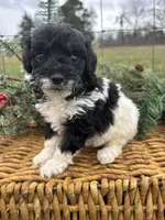 processed/b66f204a-0081-45ff-b97c-17efcbc9880b/listing/729c7df3-636a-47c4-954e-6f9201ebfc19/be396510-c368-413e-b7a9-4c3e38cb382e