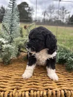 processed/b66f204a-0081-45ff-b97c-17efcbc9880b/listing/d11a738a-cb95-47c7-bc9b-54aca3e5a23b/47791d3d-ef22-45a9-bdc0-1d2a2e038e41