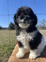 processed/b66f204a-0081-45ff-b97c-17efcbc9880b/listing/d11a738a-cb95-47c7-bc9b-54aca3e5a23b/732d4402-8f91-43fc-8cc1-8630ffe77757