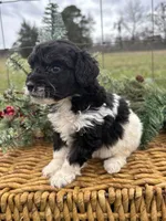 processed/b66f204a-0081-45ff-b97c-17efcbc9880b/listing/d11a738a-cb95-47c7-bc9b-54aca3e5a23b/839dbe0d-bfe3-452d-8ea6-408473062676