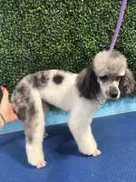 processed/b66f204a-0081-45ff-b97c-17efcbc9880b/listing/d11a738a-cb95-47c7-bc9b-54aca3e5a23b/bdab9f2a-5369-463c-b4ff-de44b795bd38