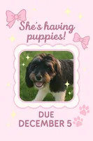 processed/b66f204a-0081-45ff-b97c-17efcbc9880b/listing/d11a738a-cb95-47c7-bc9b-54aca3e5a23b/c643e085-d2bf-431a-8540-f987086b8db0