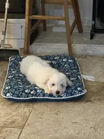 processed/b66f2eaf-10a2-4fd2-ae9a-e706c3c5f501/listing/09529d9a-62f6-434d-94e6-032536b04dab/ba2fa0ad-cbe8-4240-b5eb-d1227522f965