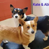 processed/b6737475-e9fd-4dfb-8c44-270a4e6cdff2/facility/3366c209-a200-45f6-9797-0c569216ce91