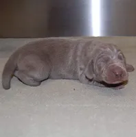 processed/b6737475-e9fd-4dfb-8c44-270a4e6cdff2/facility/6bd518b9-8f0b-47da-ad27-bbe18fad0ff5