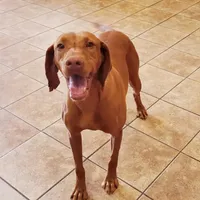 processed/b6737475-e9fd-4dfb-8c44-270a4e6cdff2/facility/7b000ddf-b00f-47fa-b77b-4b9dd59d4494