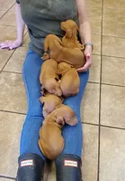 processed/b6737475-e9fd-4dfb-8c44-270a4e6cdff2/facility/881917c3-e6ad-4f18-ab3e-f01852f611da