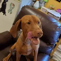 processed/b6737475-e9fd-4dfb-8c44-270a4e6cdff2/facility/9b1aa237-07bb-4eed-a123-f918f32c1ae4