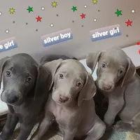 processed/b6737475-e9fd-4dfb-8c44-270a4e6cdff2/facility/e6f0acec-a6b1-4fb0-acf3-a8eb78040855