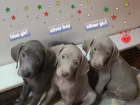 processed/b6737475-e9fd-4dfb-8c44-270a4e6cdff2/facility/e6f0acec-a6b1-4fb0-acf3-a8eb78040855