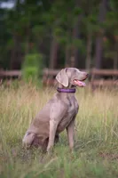 processed/b6737475-e9fd-4dfb-8c44-270a4e6cdff2/listing/1c960729-191c-41bd-a3c7-37c6c4563fca/1ad023e2-d158-4d63-a67b-8edabe2dc765