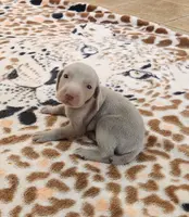 processed/b6737475-e9fd-4dfb-8c44-270a4e6cdff2/listing/1c960729-191c-41bd-a3c7-37c6c4563fca/2333fa15-4e2a-4998-aca7-3a7a26103ac8