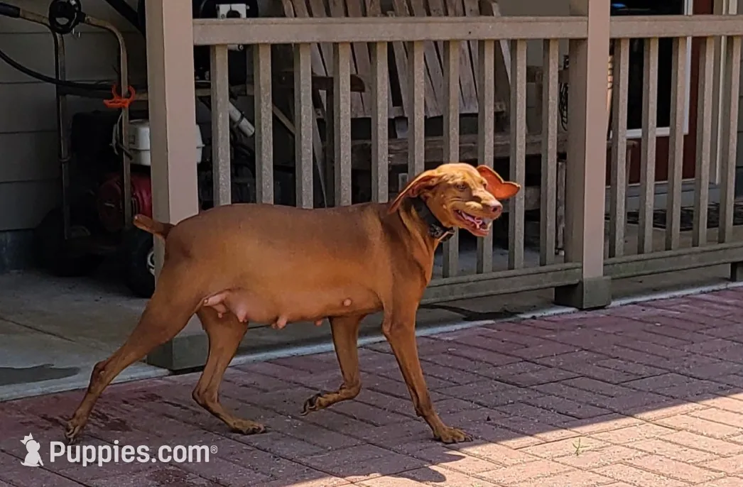 processed/b6737475-e9fd-4dfb-8c44-270a4e6cdff2/listing/5ae8fd34-d974-4092-893b-31e1b19e07b2/ee0248c4-bbe7-4870-b7f8-172dfe40a15a