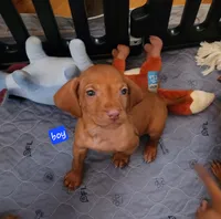 processed/b6737475-e9fd-4dfb-8c44-270a4e6cdff2/listing/ce1450f9-7d0d-4c27-836e-ab6942e4cd23/0967b03f-5bf4-4a6d-abbb-eda119244288