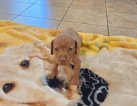 processed/b6737475-e9fd-4dfb-8c44-270a4e6cdff2/listing/f3aaaecc-9e9d-4cf1-8408-665400530560/48a6bc52-0906-4096-a000-6a3ef948b02c