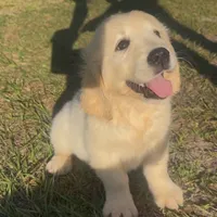 processed/b6737721-0237-4665-9a9e-0f4d0172ed9d/facility/08fed372-c94f-4c57-a744-39b2348729ec