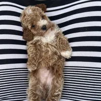 processed/b6737721-0237-4665-9a9e-0f4d0172ed9d/facility/4d672118-3a54-4838-8d60-1e34e5f89321