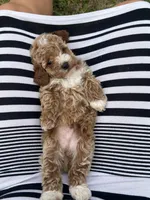 processed/b6737721-0237-4665-9a9e-0f4d0172ed9d/facility/4d672118-3a54-4838-8d60-1e34e5f89321