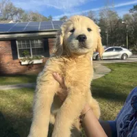 processed/b6737721-0237-4665-9a9e-0f4d0172ed9d/facility/4ecfd6b9-3a78-45ac-86af-6df900ea9704