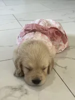 processed/b6737721-0237-4665-9a9e-0f4d0172ed9d/facility/66d22156-db0c-4058-b8b3-dff751950117