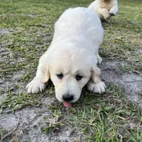 processed/b6737721-0237-4665-9a9e-0f4d0172ed9d/facility/8a7fb108-c770-4a87-ac9a-04c10d91e290