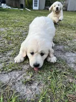 processed/b6737721-0237-4665-9a9e-0f4d0172ed9d/facility/8a7fb108-c770-4a87-ac9a-04c10d91e290