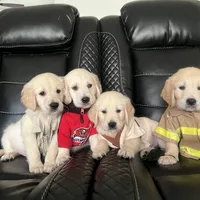 processed/b6737721-0237-4665-9a9e-0f4d0172ed9d/facility/aa9206b5-e87d-417d-9cf3-6175510c712f