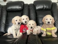 processed/b6737721-0237-4665-9a9e-0f4d0172ed9d/facility/aa9206b5-e87d-417d-9cf3-6175510c712f