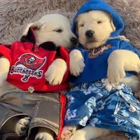 processed/b6737721-0237-4665-9a9e-0f4d0172ed9d/facility/b785a6e6-8158-446a-bec7-9e8783c47060