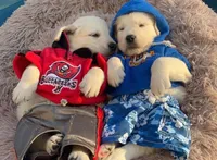 processed/b6737721-0237-4665-9a9e-0f4d0172ed9d/facility/b785a6e6-8158-446a-bec7-9e8783c47060