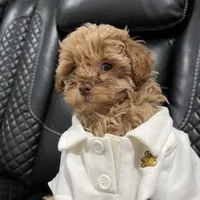 processed/b6737721-0237-4665-9a9e-0f4d0172ed9d/facility/d77d8ba8-fb8a-4e16-b18c-8e9cb850cc63